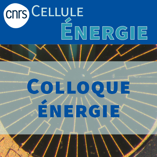 Colloque Énergie de la Cellule Énergie du CNRS